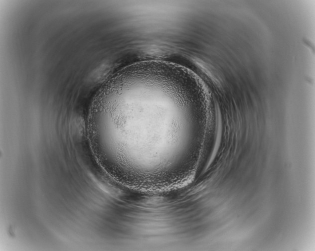 X0000096470459200801241432