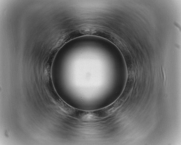 X0000096470460200801241432