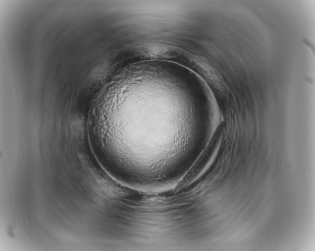 X0000096470461200801241432