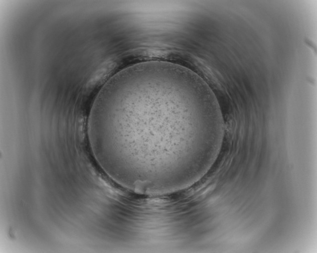 X0000096470462200801241432