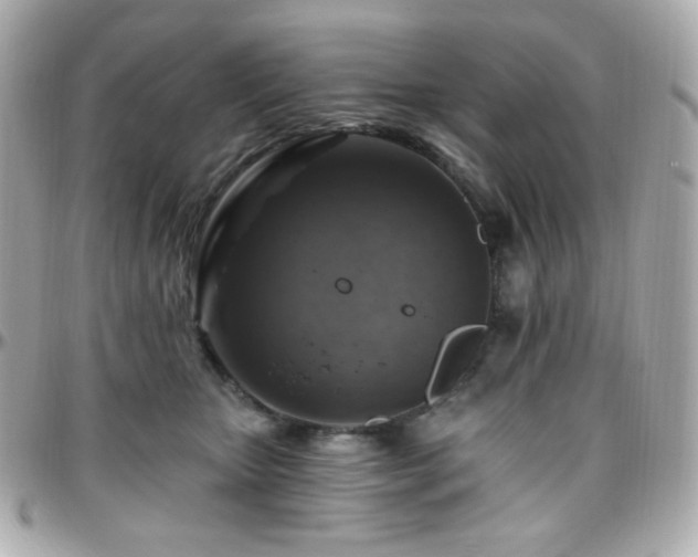 X0000096470467200801241432