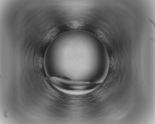 X0000096470470200801241432