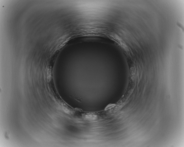 X0000096470471200801241432