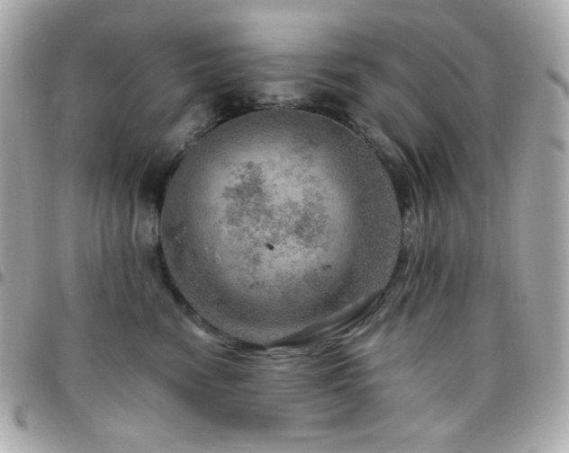 X0000096470474200801241432