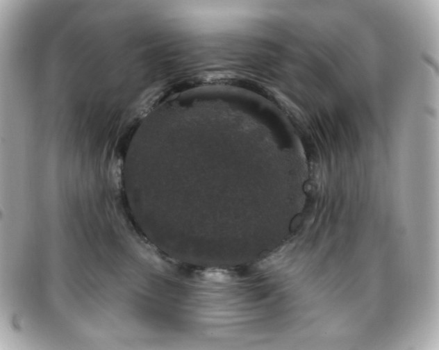 X0000096470475200801241432