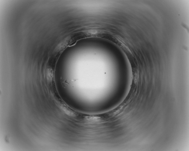 X0000096470476200801241432