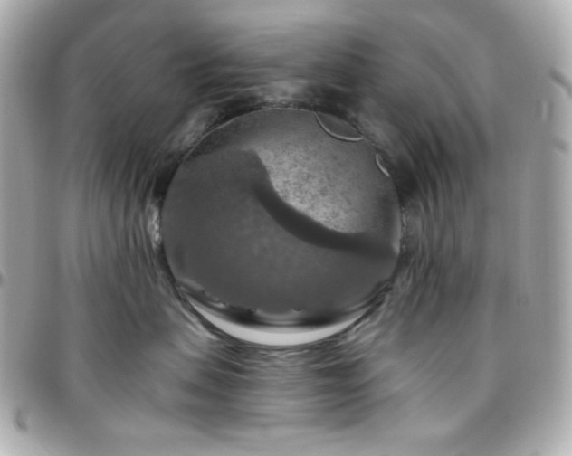 X0000096470479200801241432