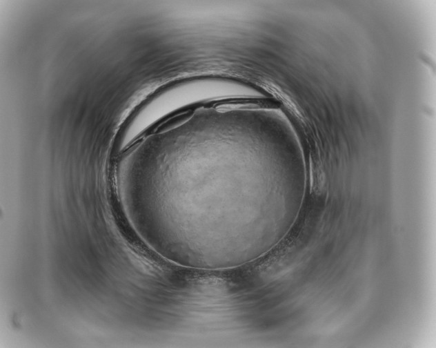 X0000096470483200801241432