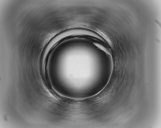 X0000096470485200801241432