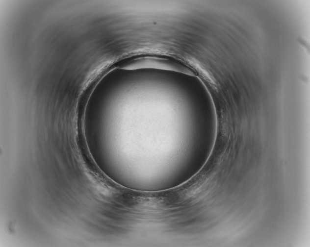 X0000096470486200801241432