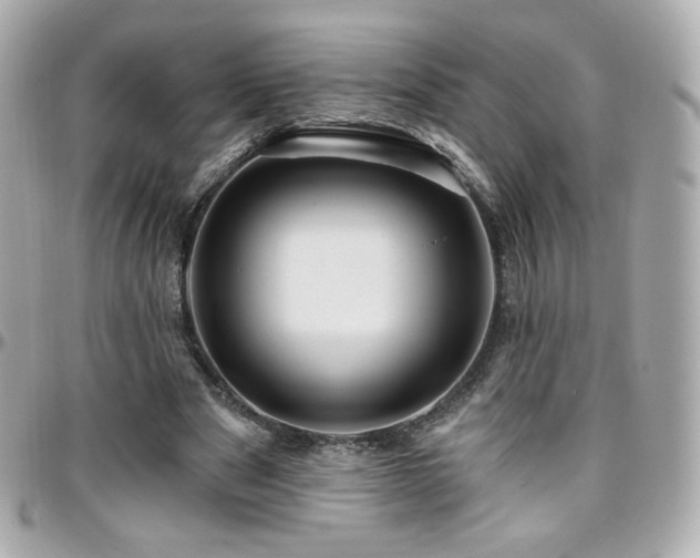 X0000096470489200801241432