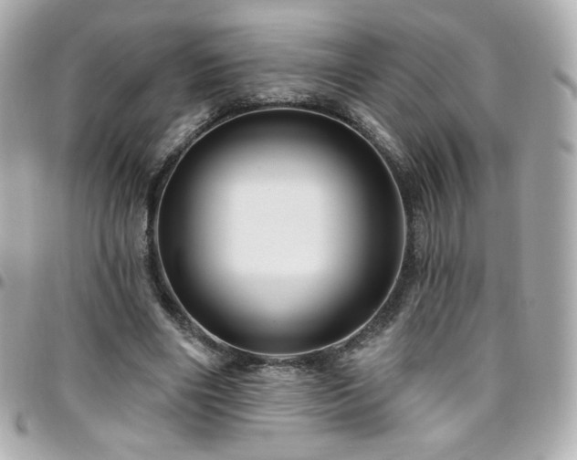 X0000096470490200801241432