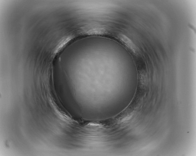 X0000096470491200801241432