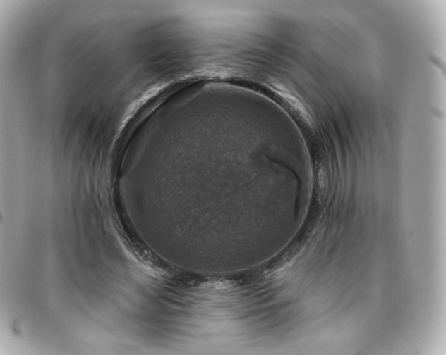 X0000096470492200801241432