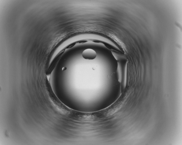 X0000096470493200801241432