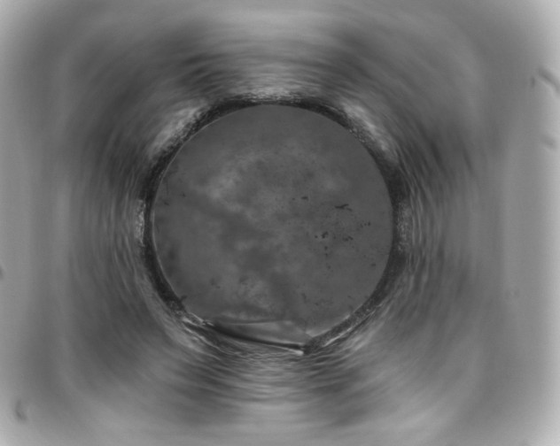 X0000096470495200801241432