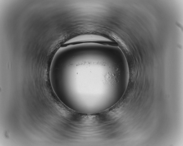 X0000096470497200801241432