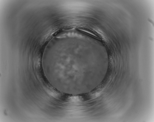 X0000096470499200801241432