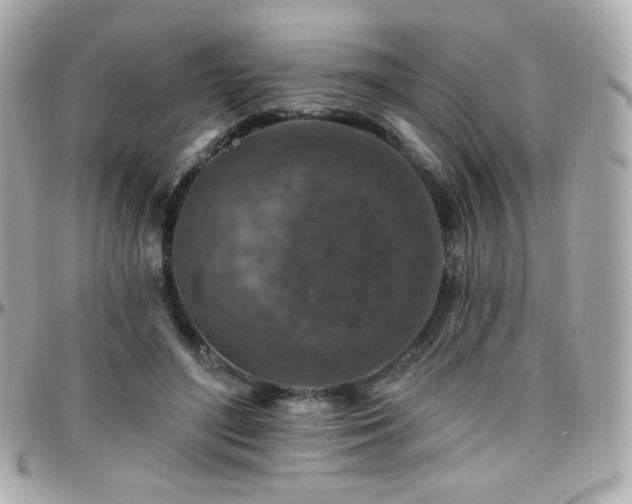 X0000096470500200801241432