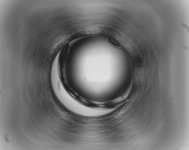 X0000096470501200801241432