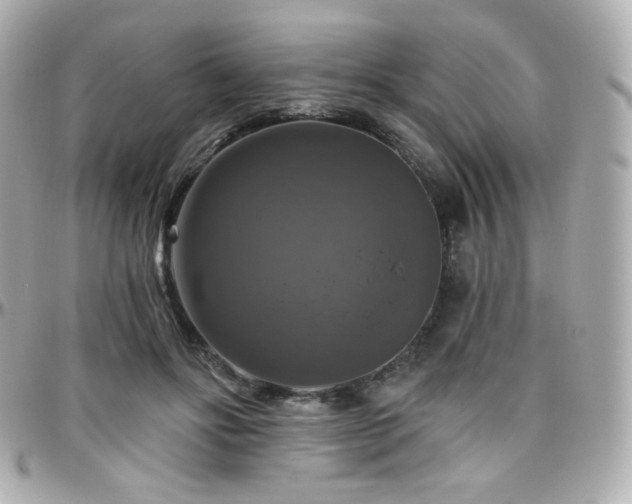 X0000096470502200801241432