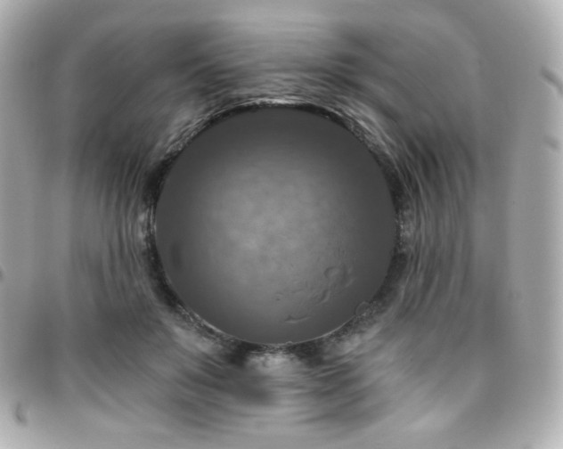 X0000096470503200801241432