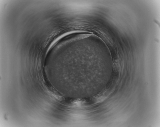 X0000096470504200801241432