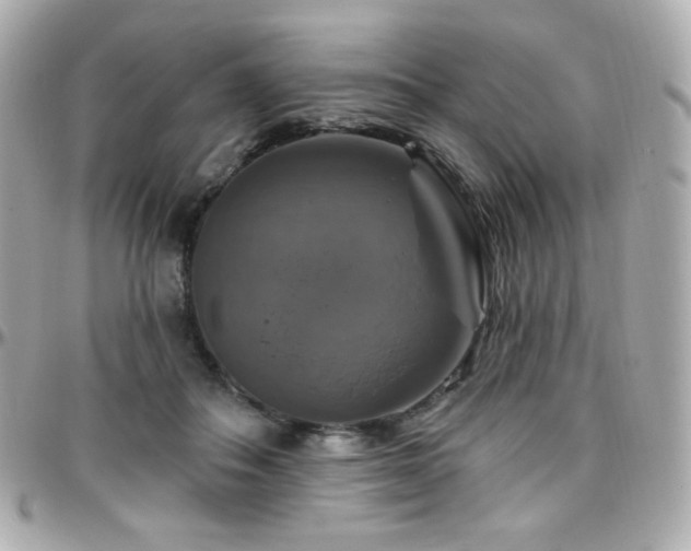 X0000096470506200801241432