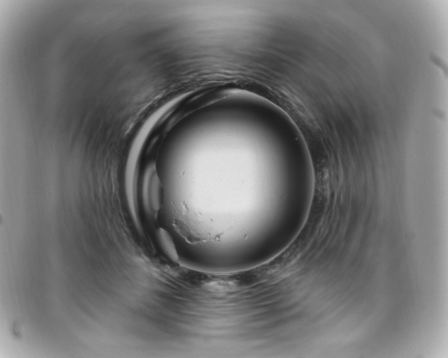 X0000096470508200801241431