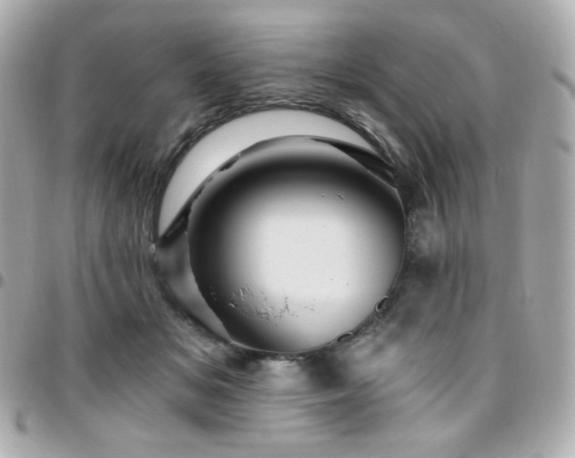 X0000096470509200801241431