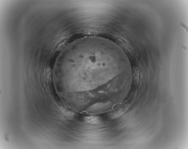 X0000096470511200801241431