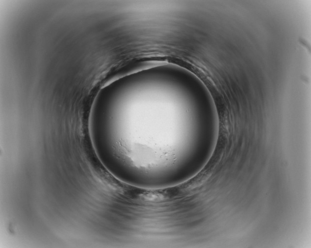 X0000096470512200801241431