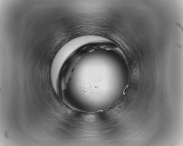 X0000096470513200801241431