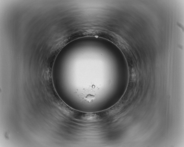 X0000096470514200801241431