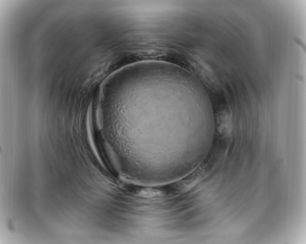 X0000096470515200801241431