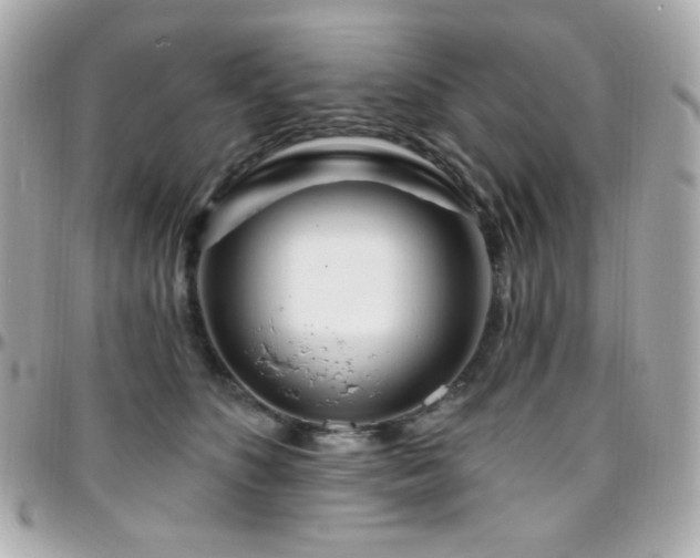 X0000096470516200801241431