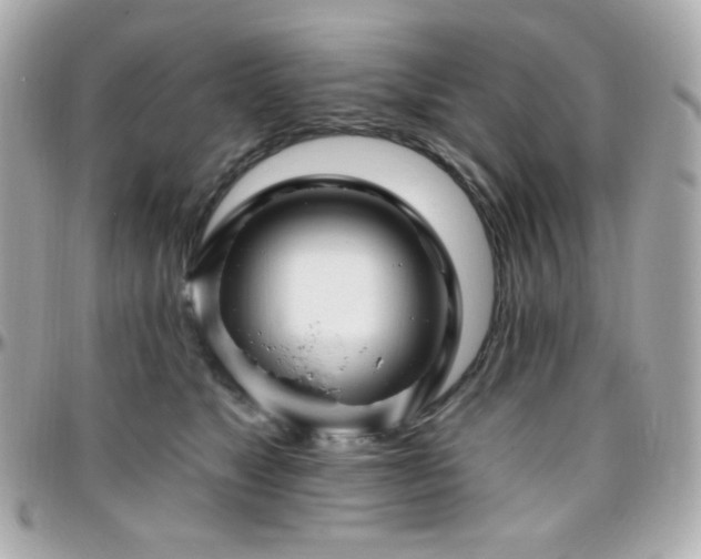 X0000096470517200801241431