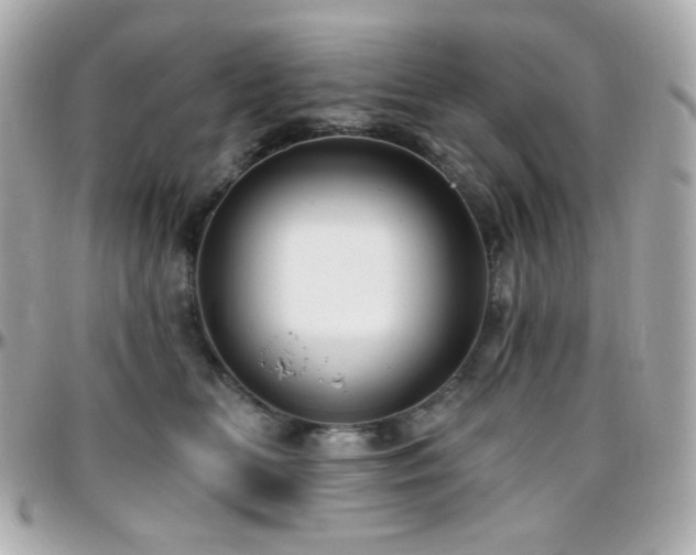 X0000096470518200801241431