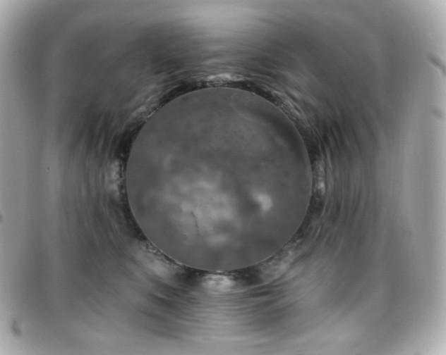 X0000096470519200801241431