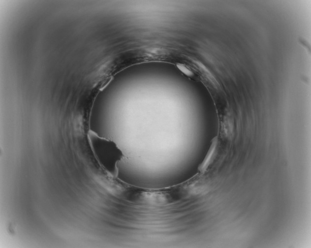 X0000096470520200801241431