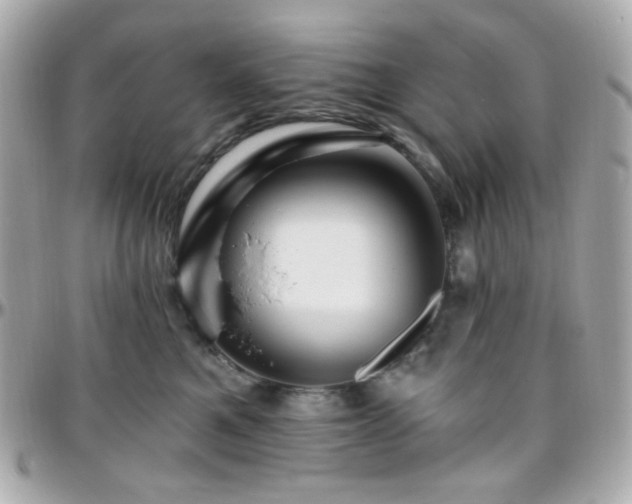 X0000096470521200801241431