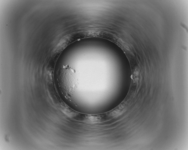 X0000096470522200801241431