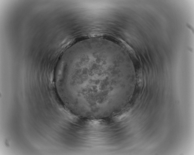 X0000096470523200801241431