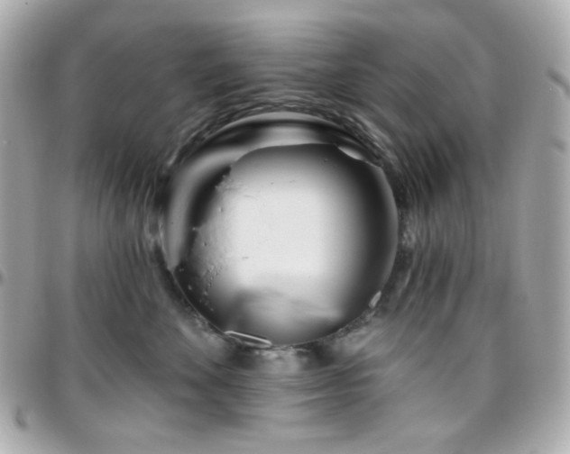 X0000096470524200801241431