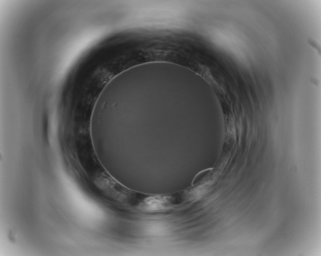 X0000096470526200801241431