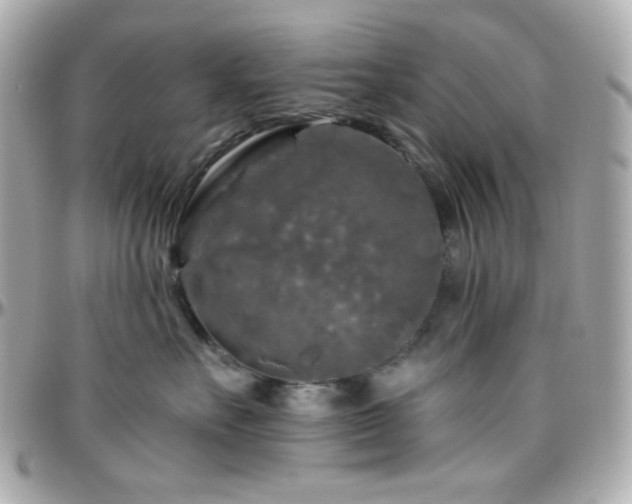 X0000096470527200801241431