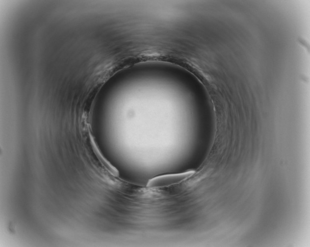 X0000096470528200801241431