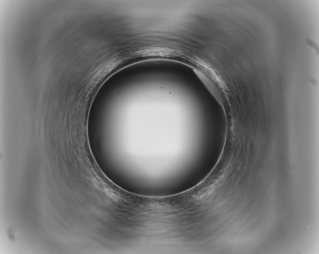 X0000096470529200801241431