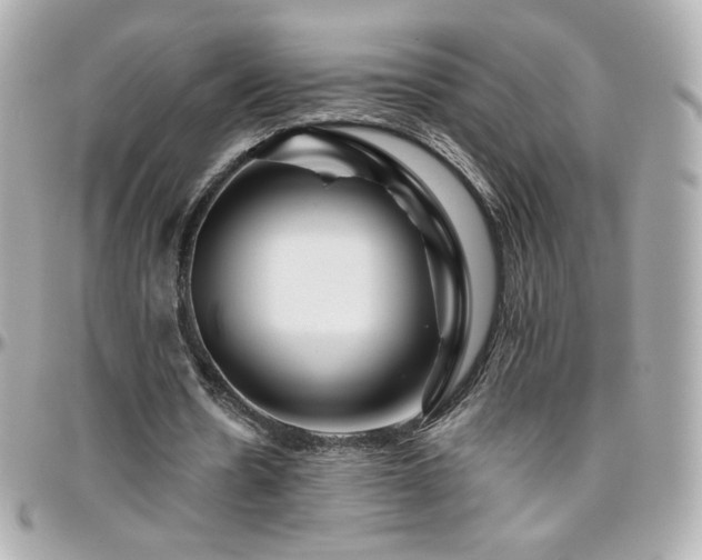 X0000096470530200801241431