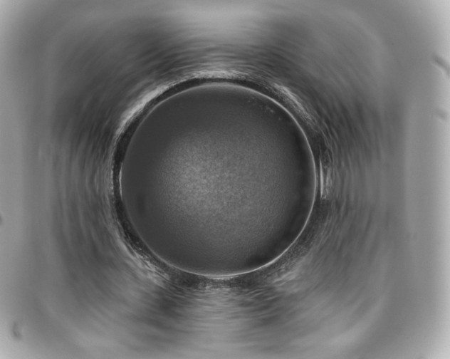 X0000096470531200801241431